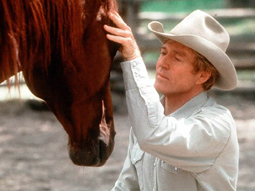 the horse whisperer