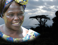 wangari maathai